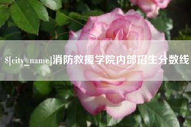 福州消防救援学院内部招生分数线