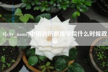 福州中国消防救援学院什么时候政审