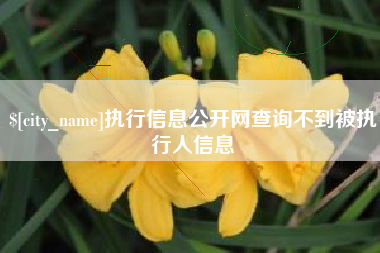 福州执行信息公开网查询不到被执行人信息