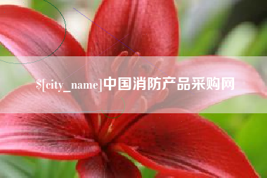福州中国消防产品采购网
