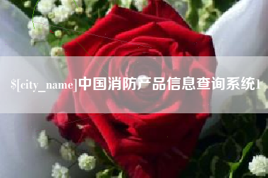 福州中国消防产品信息查询系统1