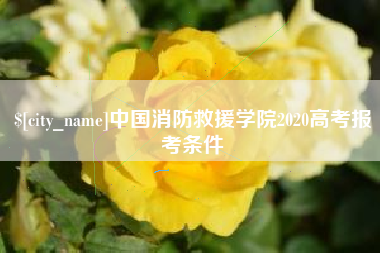 福州中国消防救援学院2020高考报考条件