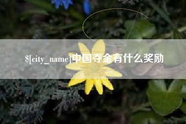 福州中国夺金有什么奖励