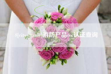 福州消防产品ccc认证查询