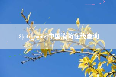 福州中国消防在线查询