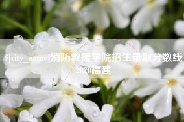 福州消防救援学院招生录取分数线2020福建