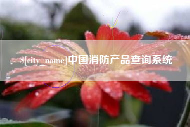 福州中国消防产品查询系统