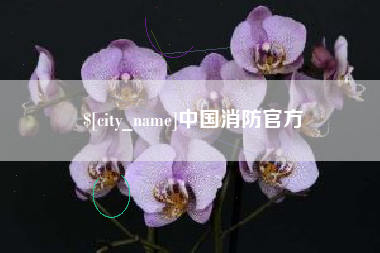 福州中国消防官方