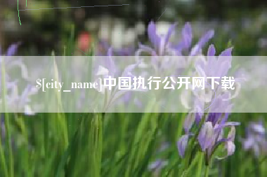 福州中国执行公开网下载