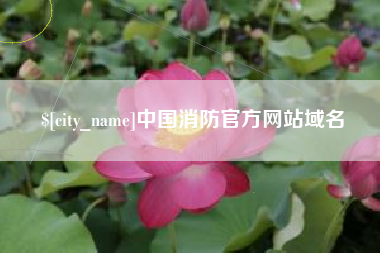 福州中国消防官方网站域名