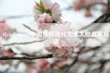 福州中国金牌图片大全大图真实高清