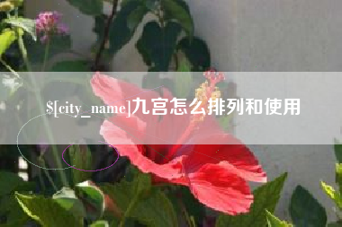 福州九宫怎么排列和使用
