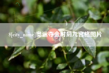 福州奥运夺金时刻九宫格图片