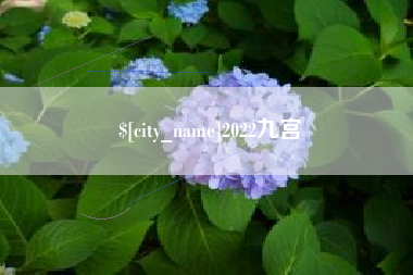 福州2022九宫