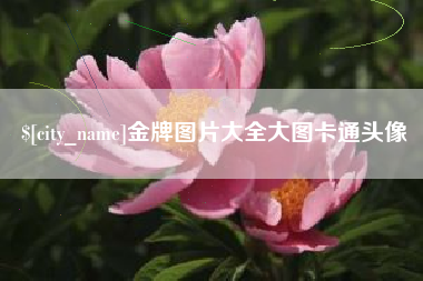 福州金牌图片大全大图卡通头像