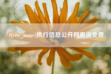 福州执行信息公开网查询免费